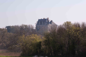 élevage d'agneaux pour la Boucherie Boul à Cossé en Champagne